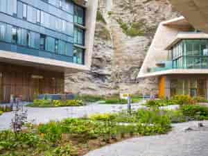 Hotelgarten geplant und gestaltet von hennerbichler naturdesign