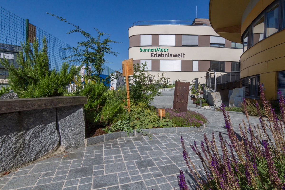 Bepflanzung, Garten, Gartendesign, Pflanzen, Zugang