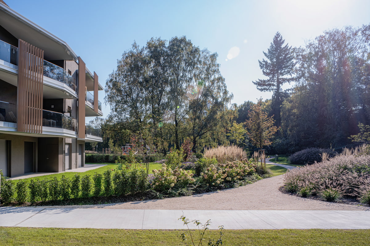 Gartendesign, Gartengestaltung, Wegbegleitpflanzen