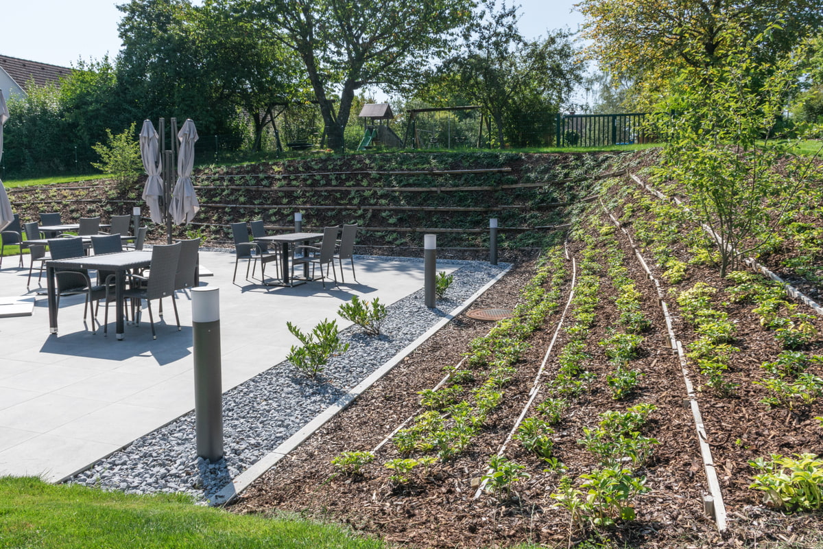 Bepflanzung, Baum, Gartendesign, Pflanzen, Sitzbereich