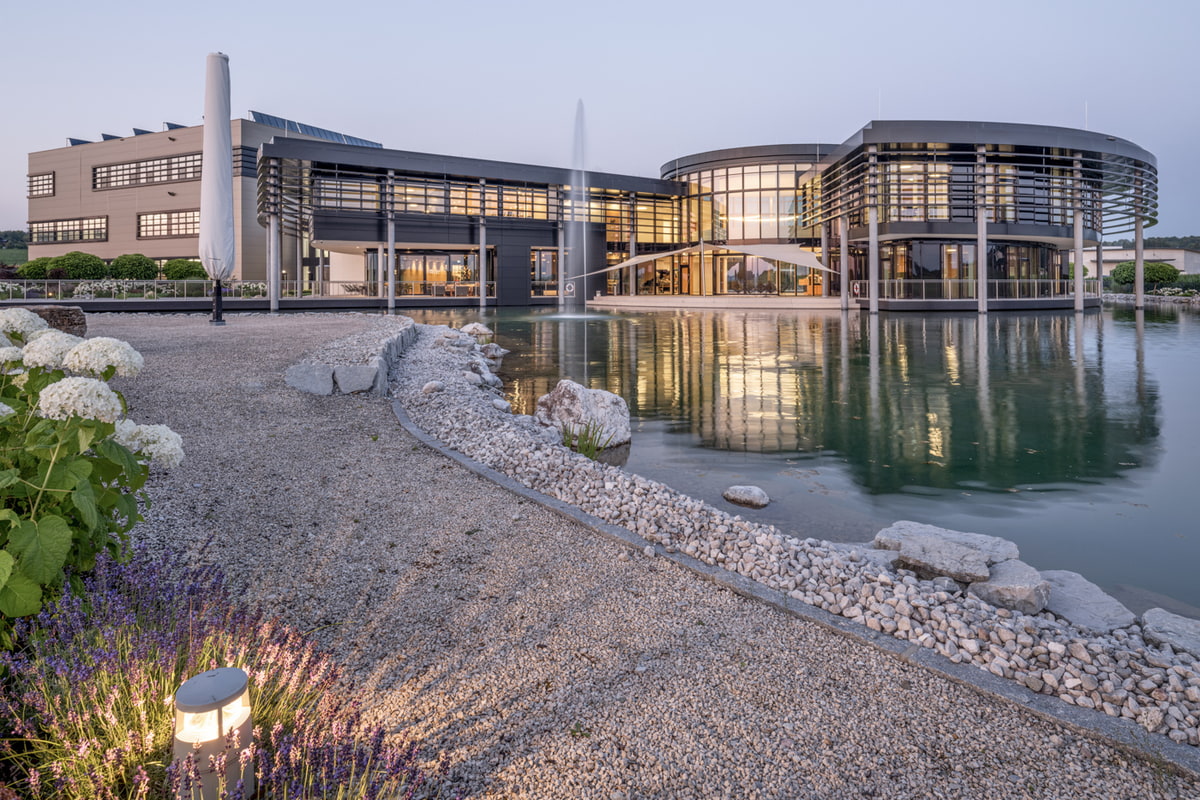 Naturpool, Pool, Wasser, Gartendesign, Gartengestaltung