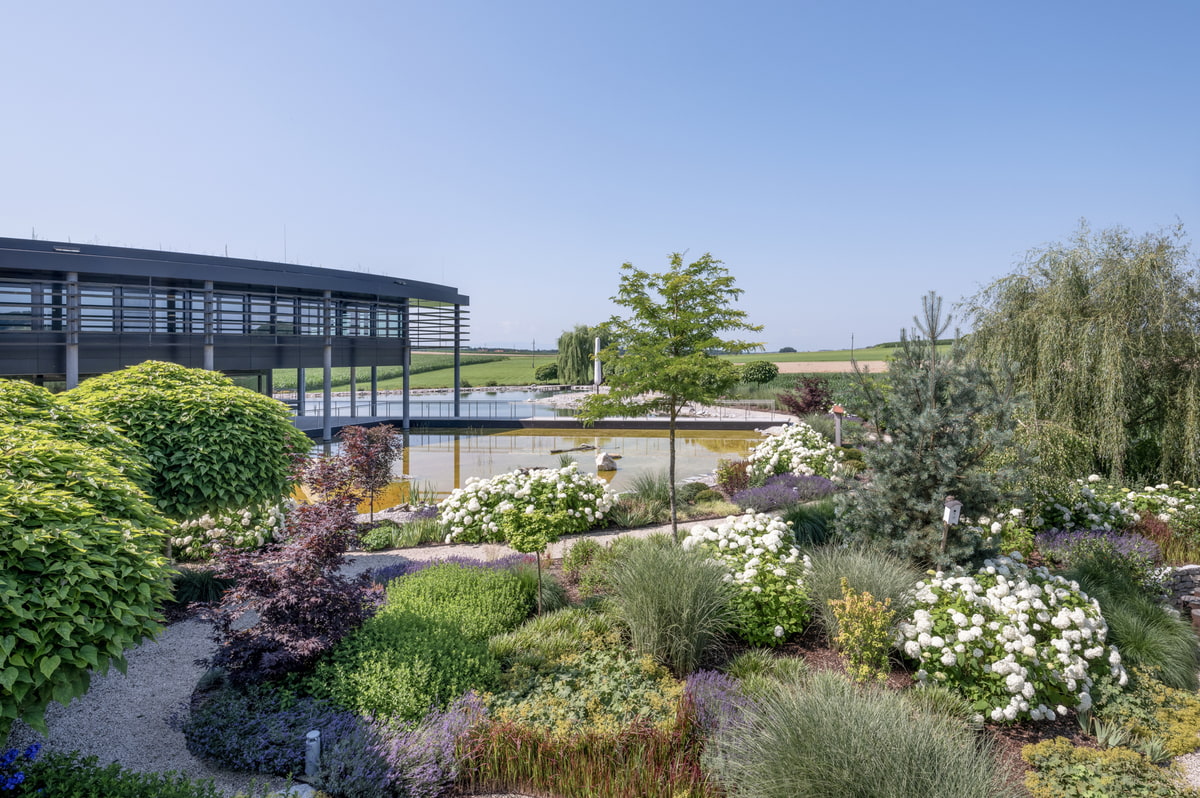 Bepflanzung, Garten, Gartendesign, Pflanzen