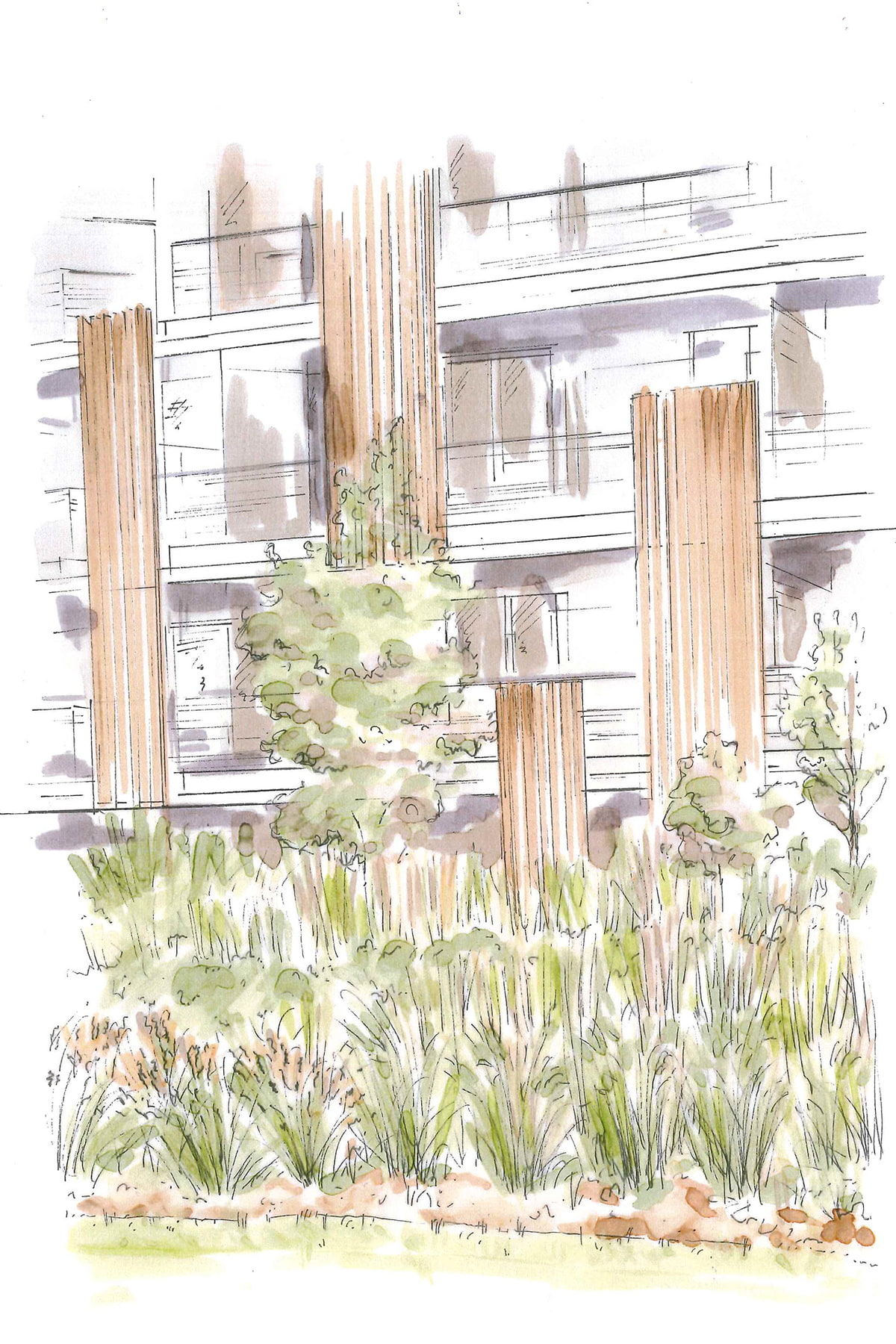 Ansicht, Design, Garten, Skizze
