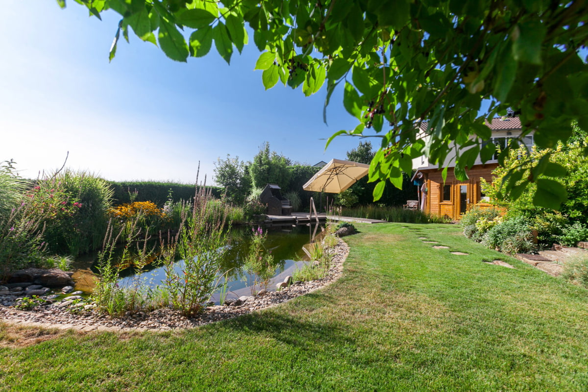 Garten mit Badeteich Garten mit einem Badeteich und rundherum bepflanzt - Garten Hennerbichler