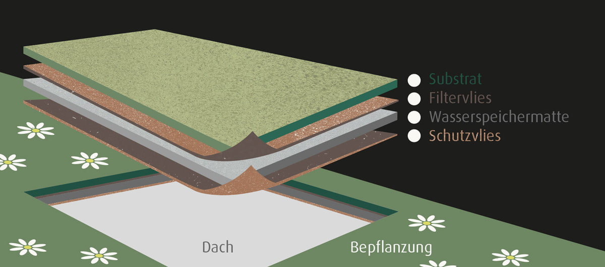 Dachbegrünung: Illustration Dachbegrünung: Illustration - Garten Hennerbichler