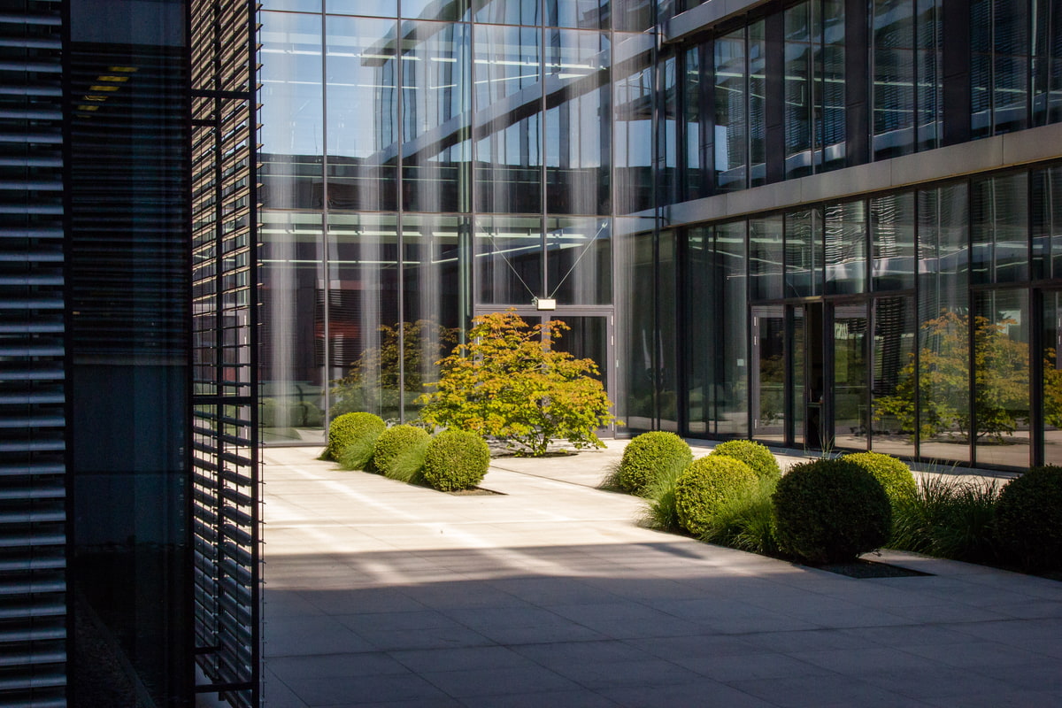 Glasmauer, Busch, Stadt