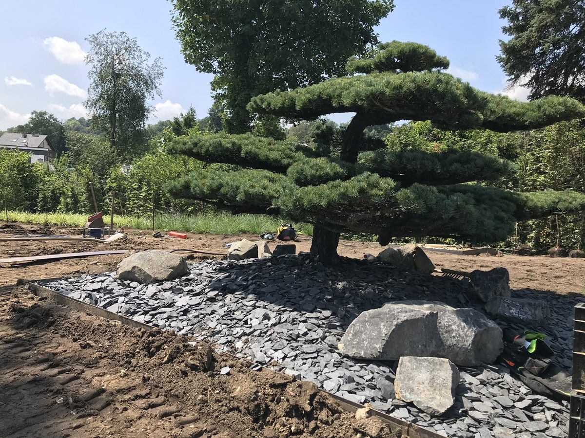 Garten, architektonischer Garten