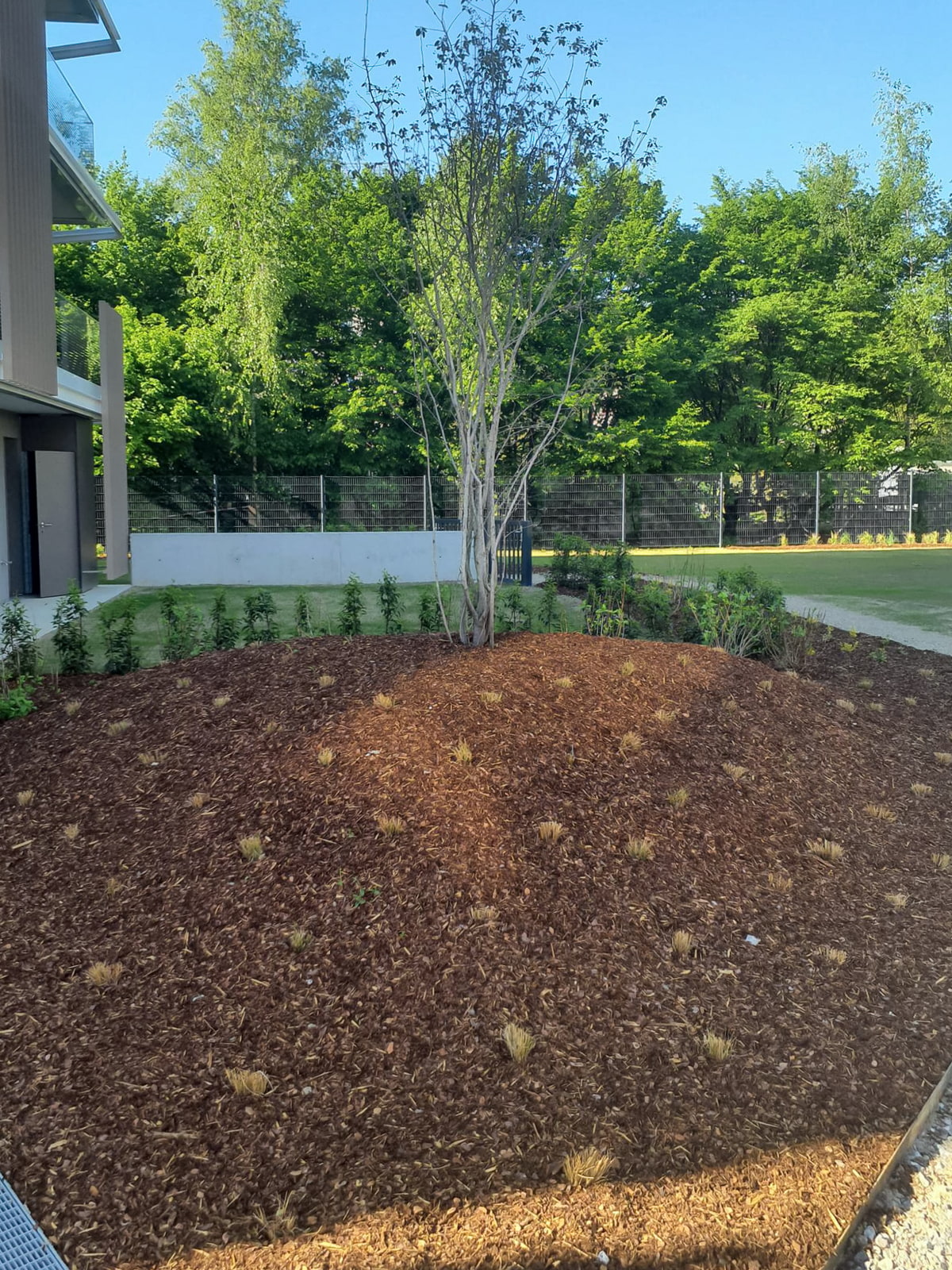 Projektablauf, Baufortschritt, Gartendesign