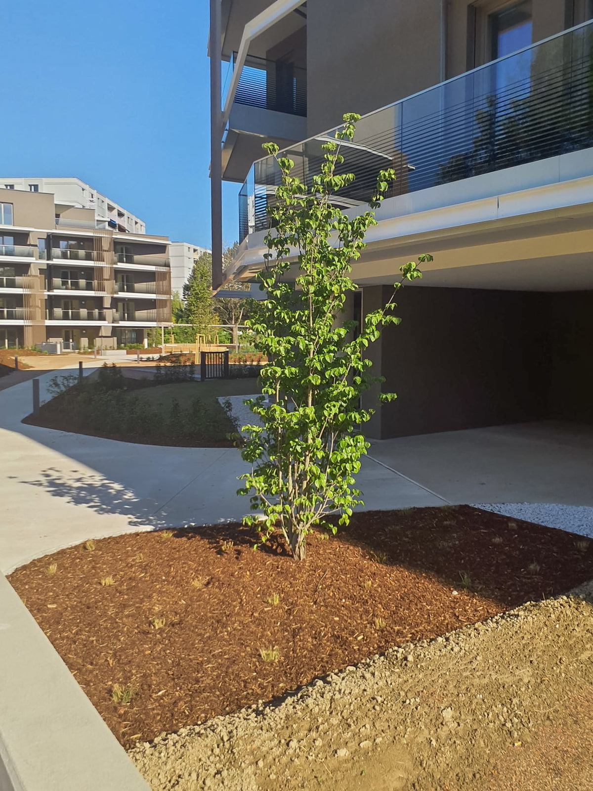 Projektablauf, Baufortschritt, Gartendesign
