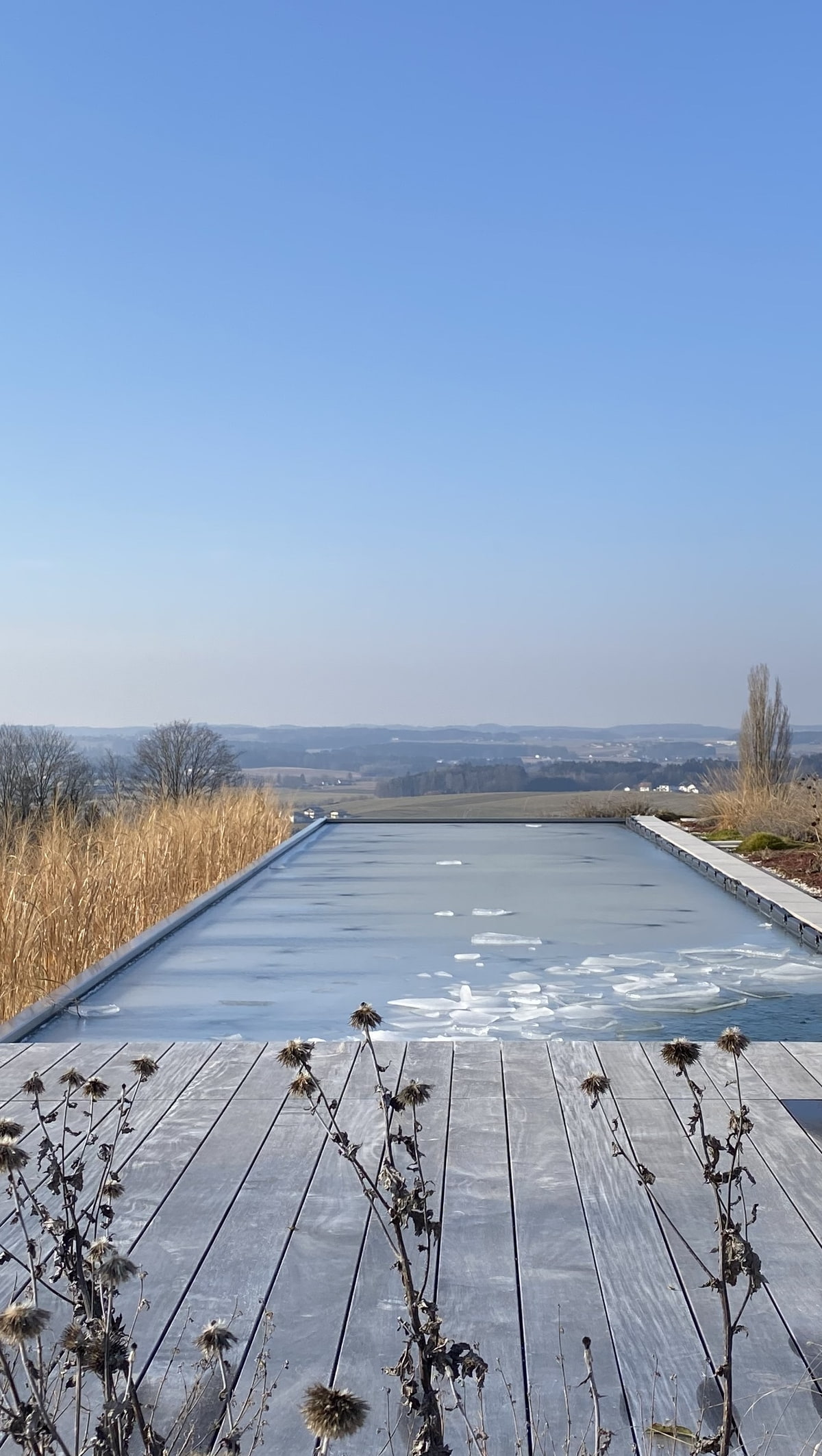 Auch im Winter ein Hingucker - zugefrorener Naturpool Pool gefroren
